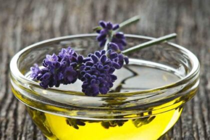 olio essenziale di Lavanda