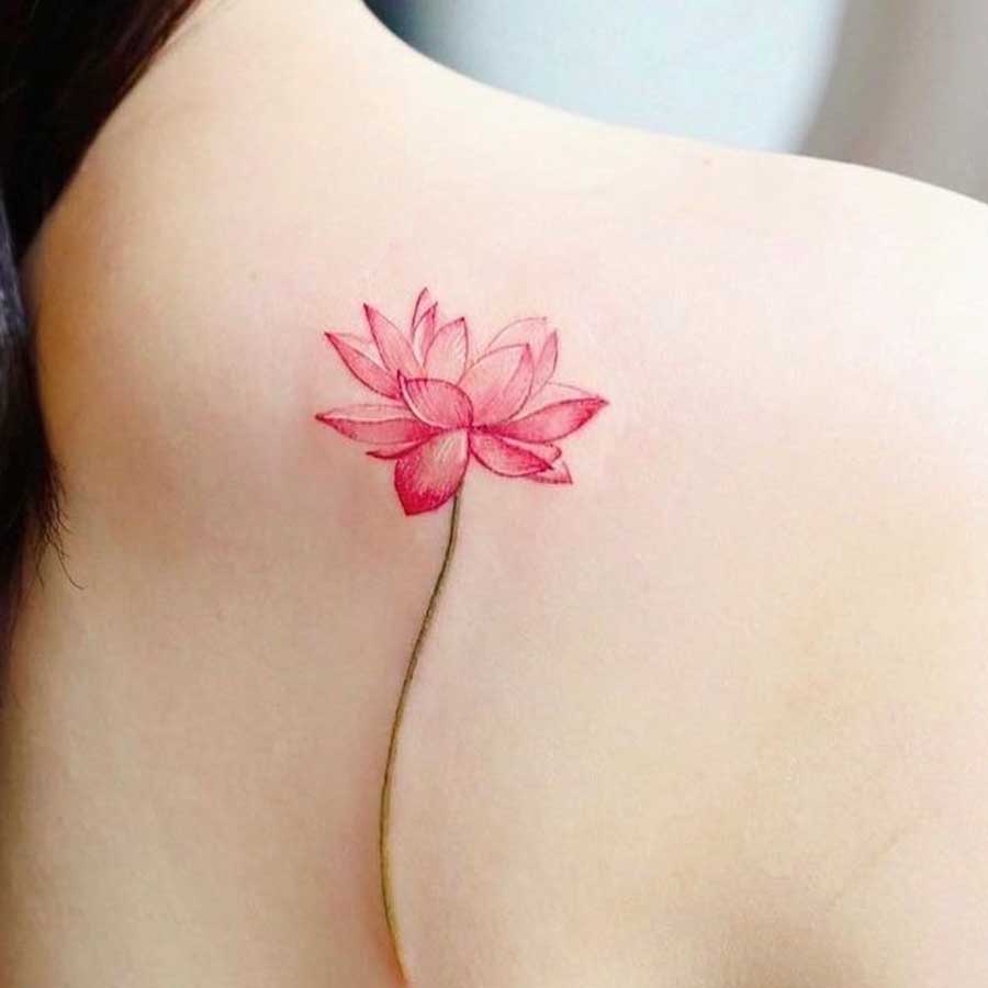 Tatuaggio piccolo fiori di loto sulla spalla colorato di rosa